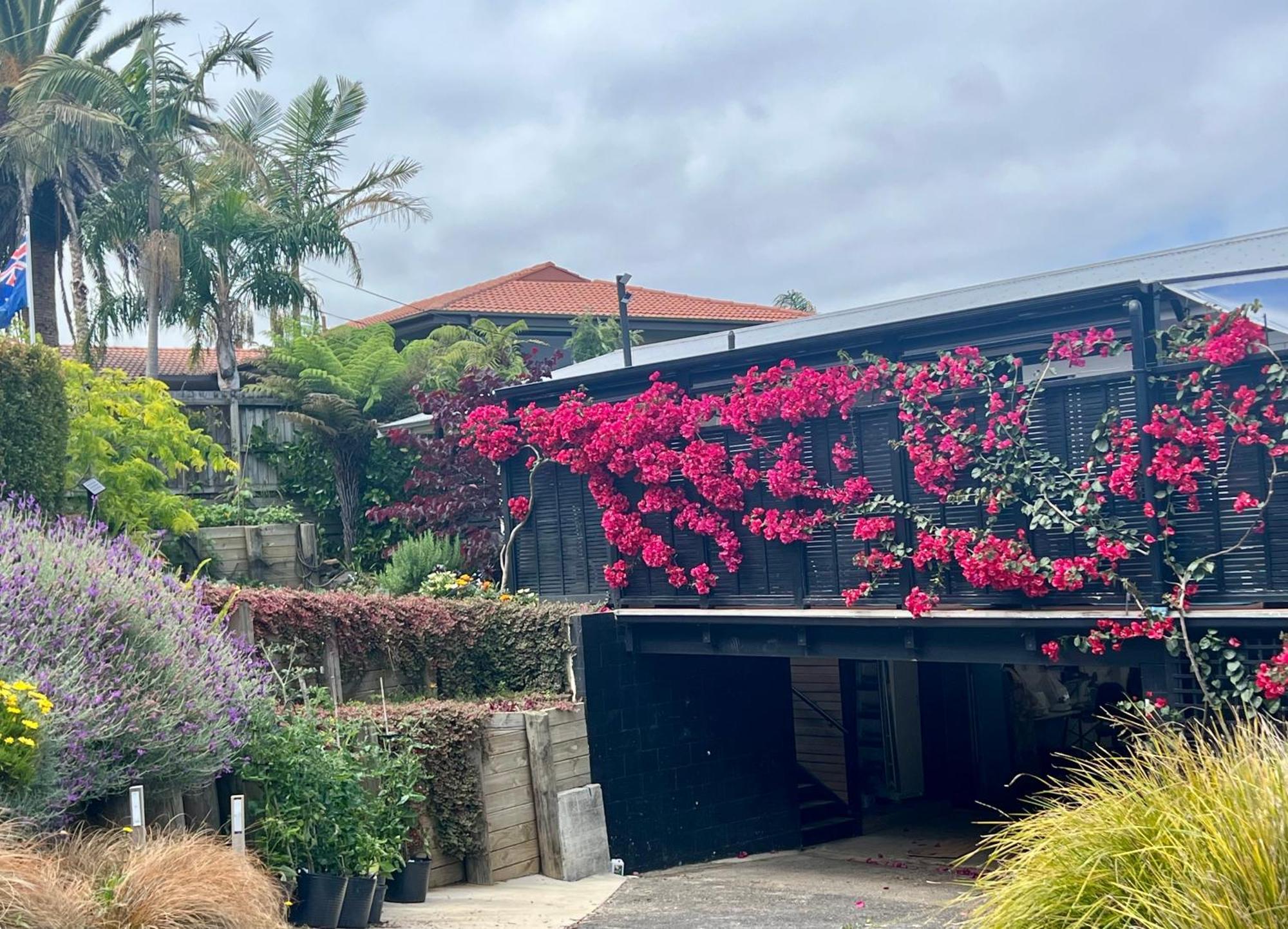 Brophys Beach Studio Whitianga Exterior photo