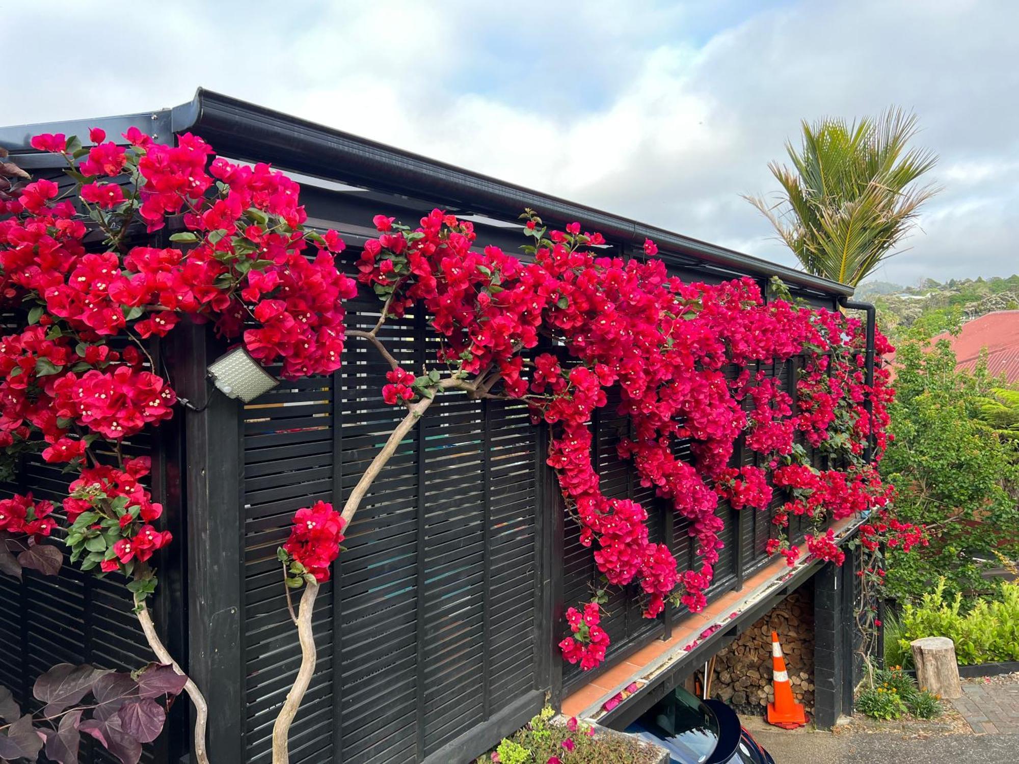 Brophys Beach Studio Whitianga Exterior photo